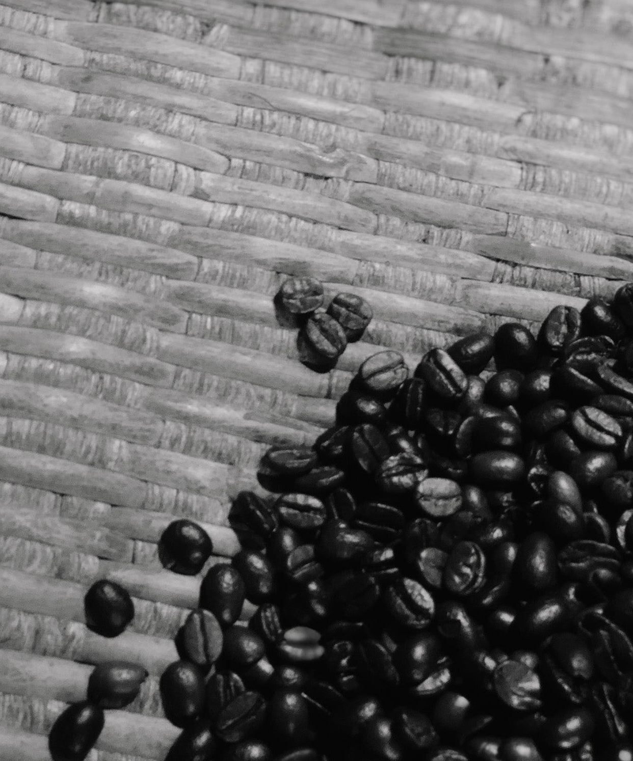 Number:03 – 珈琲 占野｜Coffee Shimeno